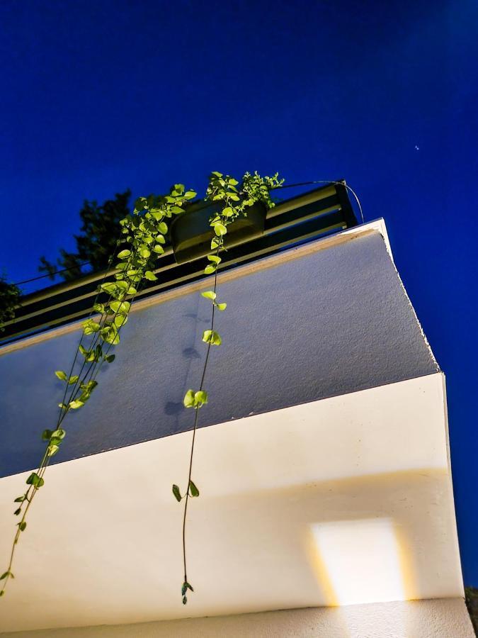 Residence ǁ Corino 比奥格勒·纳·莫鲁 外观 照片